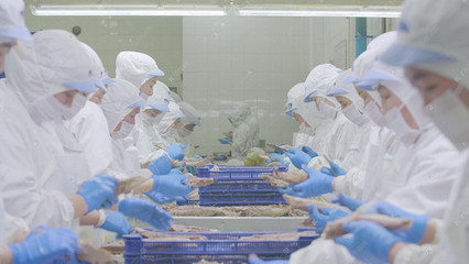 震撼重慶盤龍立交全景車流延時與食品添加劑生產(chǎn)的現(xiàn)代都市交響曲