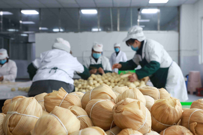 畢節七星關區 筑牢疫情防線，保障食品生產企業安全有序復工復產