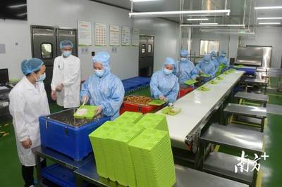 南方觀察|博羅啟動“鏈長制”，首發者為何是食品添加劑產業？